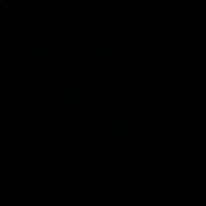 Meet your Posher, Neena